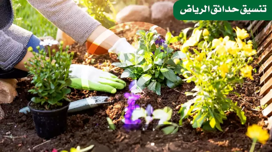 دمج-الحوليات